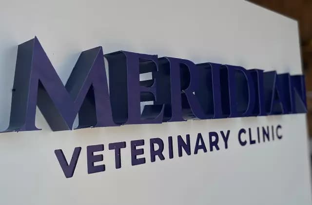 MERIDIAN, ветклініка — денний вигляд